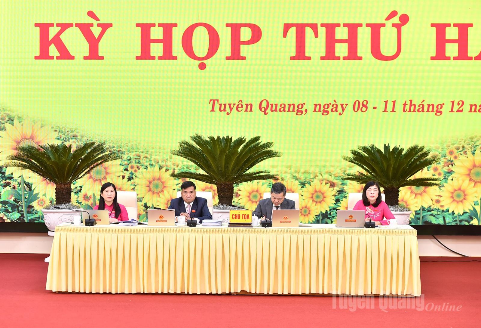 Không có ảnh hiển thị