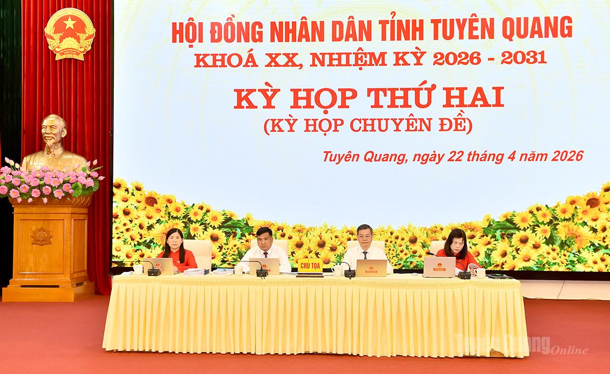 Không có ảnh hiển thị